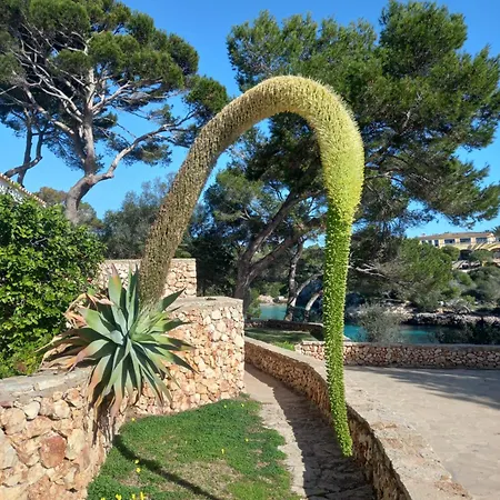Ferrera Park Vue